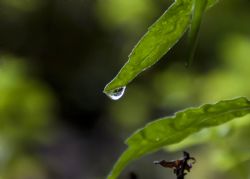 N/A Natura Pioggia 