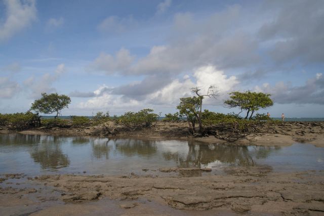 Brasile Mare Natura Panorama 