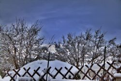 N/A Neve HDR 