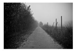 Verona Nebbia Strada B/N 