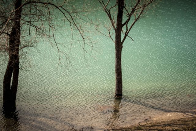 Lago di Tenno Natura Fiori painte 