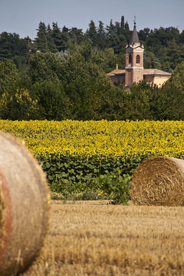 N/A Panorama Natura 