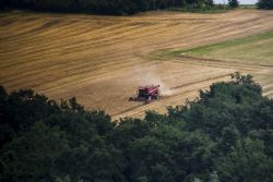 Crespellano (Bo) Natura Camapagna macchinari 