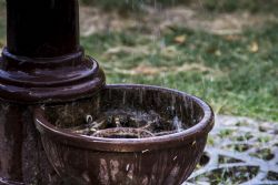 Parco dei Gessi Bolognesi e Calanche dell'Abbadessa (Bo) Fontana Particolare 