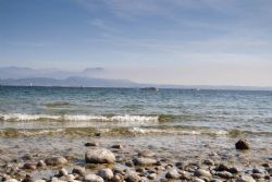 Sirmione Lago Particolare 