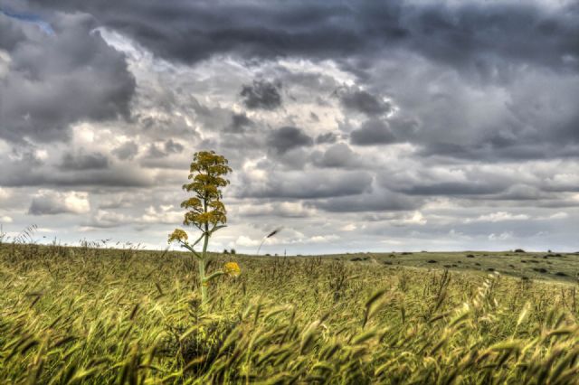 Matera HDR Natura 