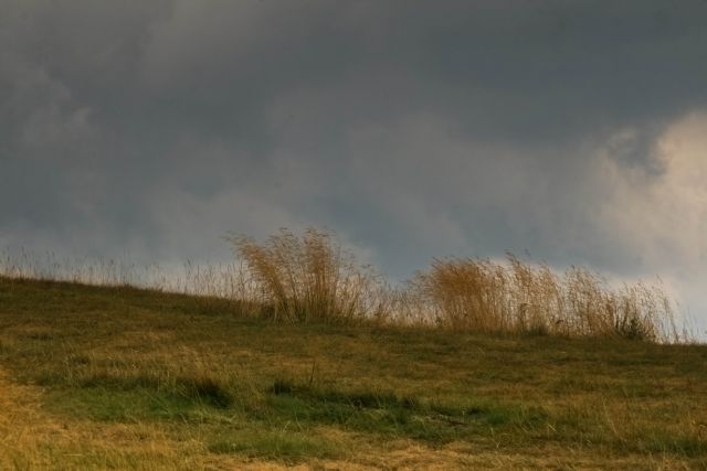 Monte Baldo Natura Montagne 