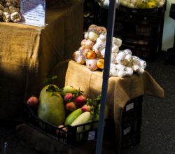 Bologna Festa Sagra San Looca Day 2015