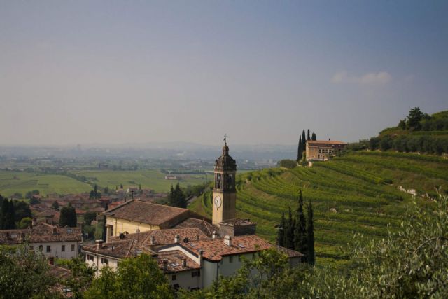 Gargagnano Panorama 