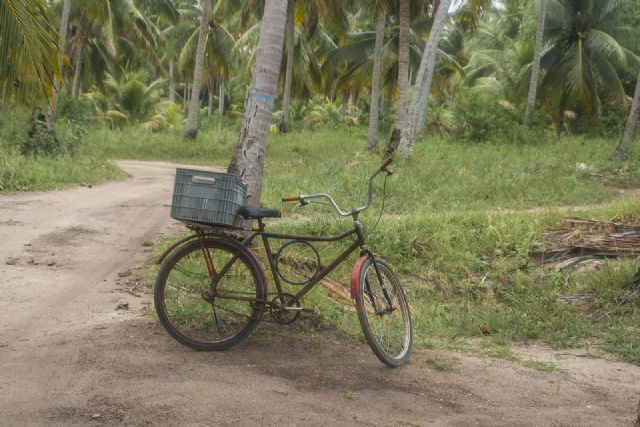 Brasile Bicicletta 