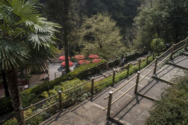 Cascata del Varone Natura Fiori 