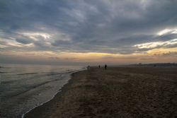 Marina di Ravenna Mare Natura 