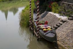 Monselice gondola fiori particolare 