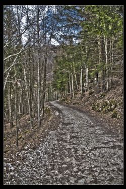 Bosco Chiesa Nuova (Vr) HDR Natura sentiero  