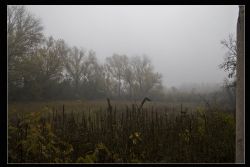 Verona Nebbia Campagna Ex Lazzareto del Palladio