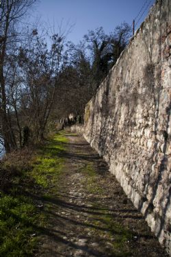 Parona (Vr) Adige Fiume Percorso lungo Adige da Parona a Pescantina