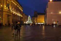 Bologna Piazza Maggiore Edificio Monumento 