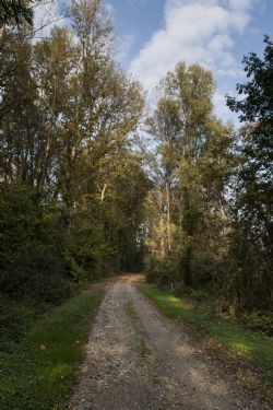 Vignola (Mo) Natura Sentiero 