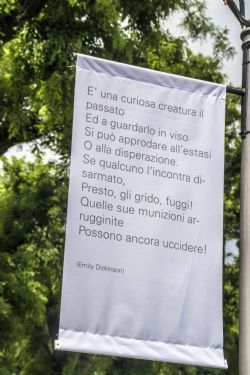 Este Poesia particolare Festa della Basse ad Este