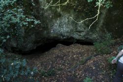 Parco dei Gessi Bolognesi e Calanche dell'Abbadessa (Bo) natura 