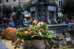 N/A Festa Sagra Sagra della Castagna