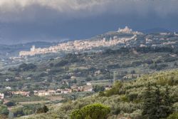 Spello Umbia Panorama 