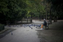 Faenza Anziano Parco Uccelli 