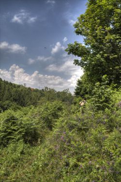 Bolca Natura HDR 