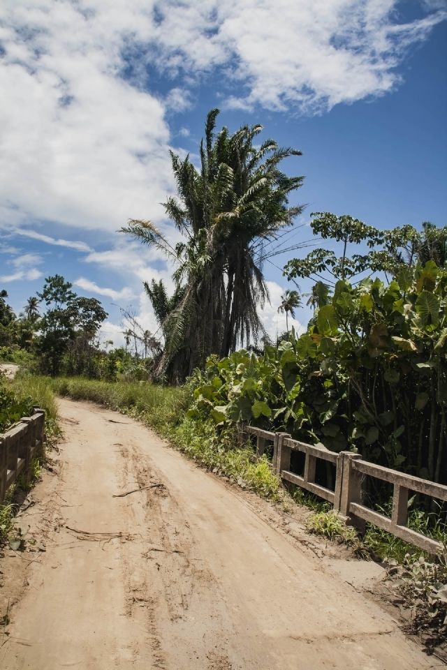 Brasile Panorama Villaggio Indios Strada 