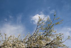 N/A Cielo Natura Nuvole 