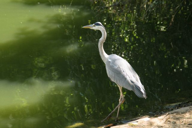 Faenza Parco Bucci 