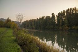 Bologna Casalecchio di Reno Particolare  