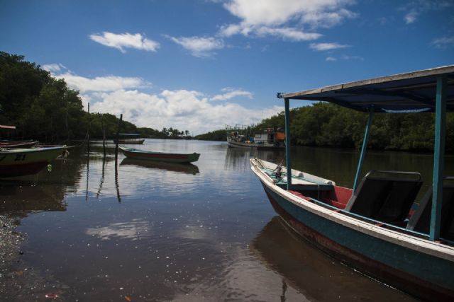 Brasile Fiume Barca Natura 