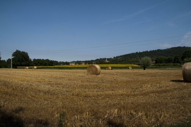 N/A Panorama Natura 