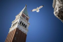 Venezia Edifici Monumenti Gabbiano 