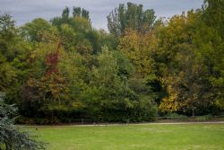 Faenza Autunno Cielo  Parco Bucci