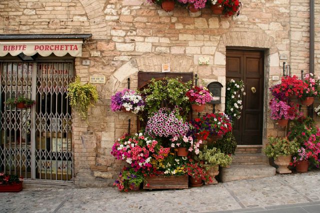 Spello Fiori 