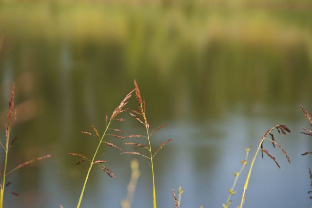 N/A Natura paesaggio Lago 