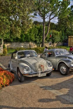 Bardolino (Vr) Auto HDR 