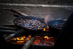 N/A Festa Sagra Sagra della Castagna