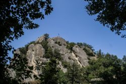 Parco Regionale Sassi di Roccamalatina (Mo) Natura Uccelli 