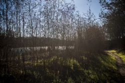 Parona (Vr) Adige Fiume Percorso lungo Adige da Parona a Pescantina