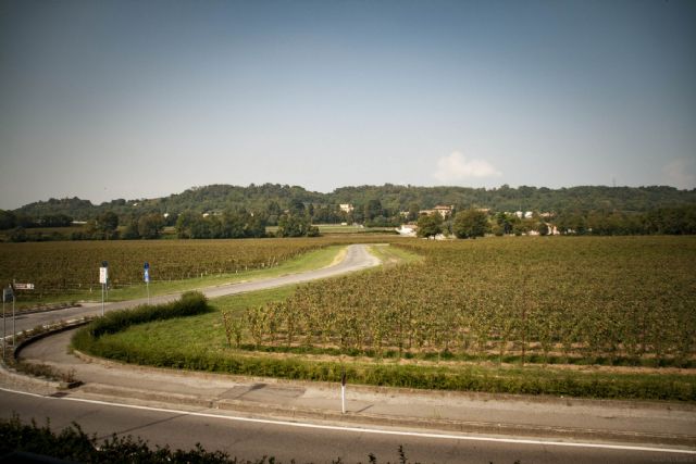 Franciacorta Vigneti Panorama 