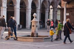Venezia Edifici Monumenti Persone 