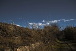 Settimo (Vr) natura Cielo Nuvole Percorso lungo Adige da Parona a Pescantina