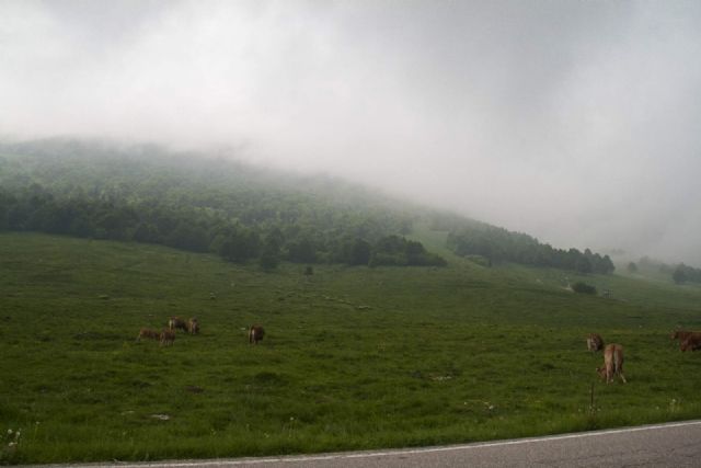 Monte Baldo Panorama Natura 