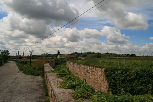 San Pietro in Cariano Vigneti 