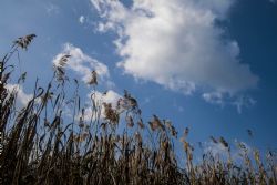 Vignola (Mo) Cielo Natura Nuvole 