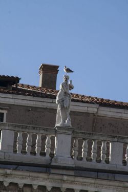 Venezia Edifici Monumenti 