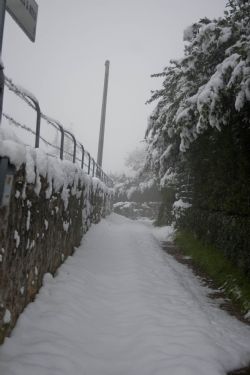 Verona Neve strada 